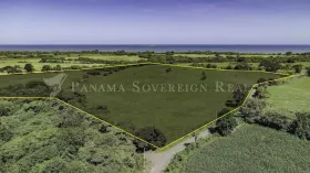 Eiendom land / skogbruk Pedasi  Panama