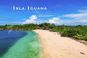 Eiendom land / skogbruk Pedasi  Panama