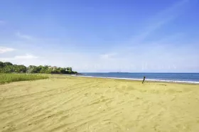 Eiendom land / skogbruk Pedasi  Panama