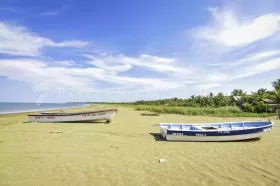 Eiendom land / skogbruk Pedasi  Panama