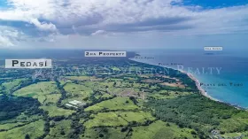 Eiendom land / skogbruk Pedasi  Panama