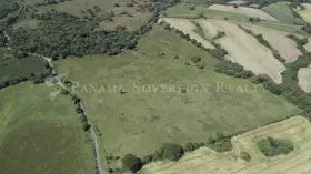 Eiendom land / skogbruk Pedasi  Panama