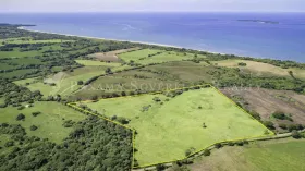 Eiendom land / skogbruk Pedasi  Panama