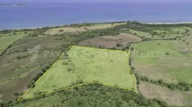 Eiendom land / skogbruk Pedasi  Panama