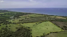 Eiendom land / skogbruk Pedasi  Panama