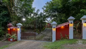 Propriedade da terra / florestal Bucaro Venda Panama