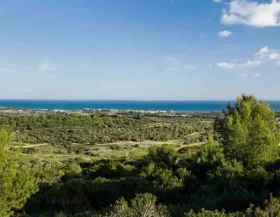 Hus Sotogrande Spain  Spain