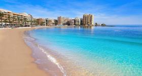 土地 农业/林业 Torrevieja Alicante  西班牙