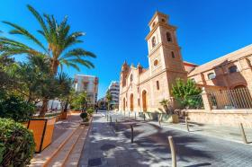 土地 农业/林业 Torrevieja Alicante  西班牙