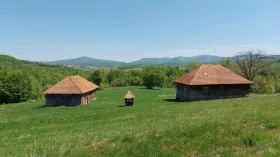 Деревенский для продажи в Negreni, Румыния