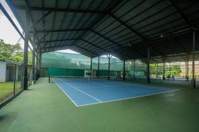 Woonperceel Mata de Palo Te Koop Costa Rica