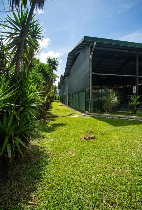 Lote de construção residencial Mata de Palo Venda Costa Rica