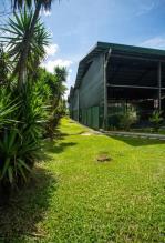 Woonperceel Mata de Palo Te Koop Costa Rica