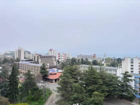 Apartment For Sale in Sunny Beach-Burgas, Bulgaria Apartment For Sale in Sunny Beach-Burgas, Bulgaria