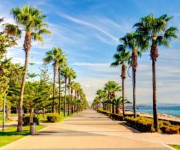 Plat Limassol te koop Cyprus