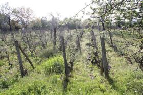 terreno de construção Behala À venda Bulgária