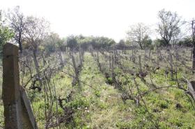 terreno de construção Behala À venda Bulgária
