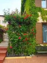 Villa Kozichino Eladó Bulgária