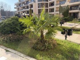 Apartment Sunny Beach For Sale Bulgaria
