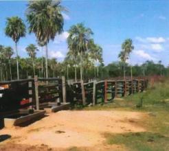 Farm Asunción Eladó Paraguay | Paraguay Estancia Coral