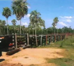 Gård Asunción  Paraguay | Paraguay Estancia Coral