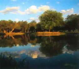 Farm Asunción Eladó Paraguay | Paraguay Estancia See