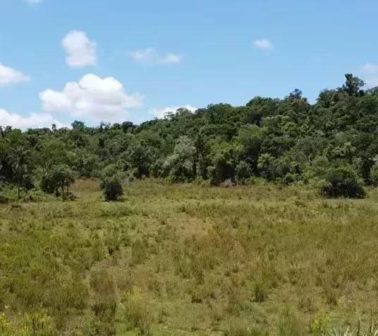 Bauernhof Acahay zu kaufen Paraguay | Farm kaufen in Paraguay Estancia