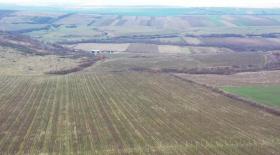 Viniculture Târnava for sale Romania | Rumänien Farm kaufen