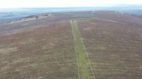 Viniculture Târnava for sale Romania | Weingut in Arad mit 115 ha