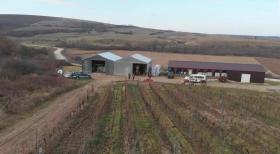 Viniculture Târnava for sale Romania | Landwirtschaft in Rumänien kaufen