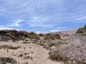 Propriedade agrícolas Huara Venda Chile | Chile 220 ha Fundo zu verkaufen