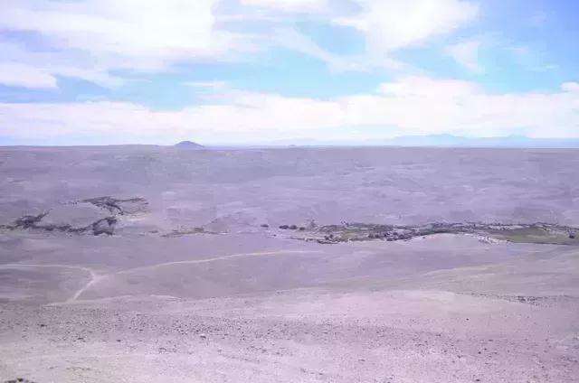 الأعمال التجارية الزراعية Huara  شيلي | Chile 220 ha Fundo zu verkaufen