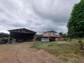 Presidente Figueiredo Farm - Landbouwbedrijven te koop in Presidente Figueiredo, Brazil