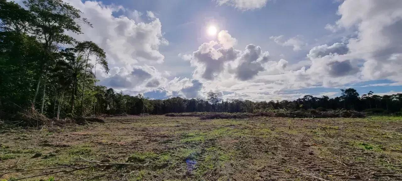 Presidente Figueiredo Plantage