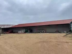 Farm mit 770 ha Halle 2 - Boerderij / ranch te koop in Pitești, Roemenië Farm mit 770 ha Halle 2 - Boerderij / ranch te koop in Pitești, Roemenië