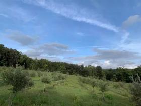Fazenda / Rancho Pomarance Venda Itália | Landschaft