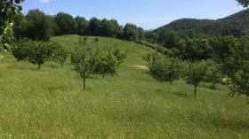 Fazenda / Rancho Pomarance Venda Itália | Landschaft