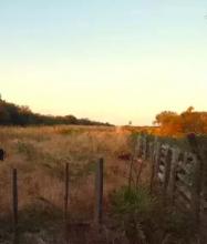 Paraguay Kauf Chaco 12.250 Hektar Estancia - Explotaciones agrícolas en venta en Fuerte Olimpo-Ciudad Fuerte Olimpo, Paraguay