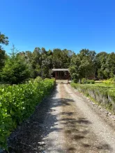 Finca Quemchi  Chile | Quemchi Farm Zufahrt