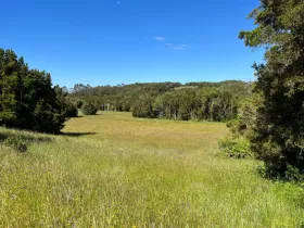 Finca Quemchi  Chile | Quemchi Farm Wiese