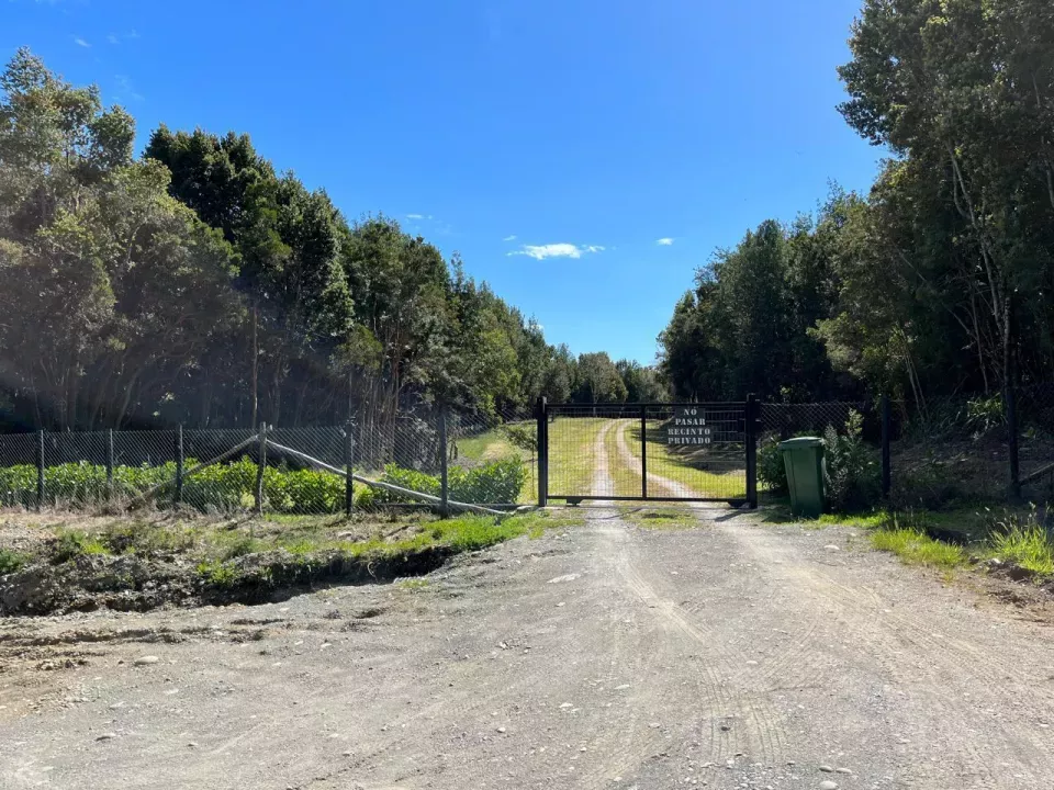 finca Quemchi Προς πώληση Χιλή | Quemchi Farm zufahrt
