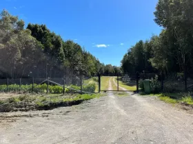 Finca Quemchi  Chile | Quemchi Farm zufahrt