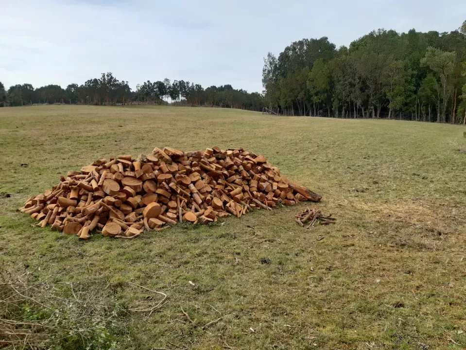 finca Quemchi Προς πώληση Χιλή | Quemchi Farm Holz