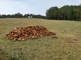 Finca Quemchi  Chile | Quemchi Farm Holz