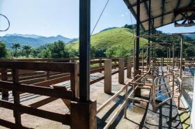 Viehwirtschaft Cachoeiras de Macacu zu kaufen Brasilien | Stallungen in Brasilien
