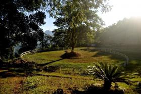 proprietà Cachoeiras de Macacu Vendita Brasile | Fazenda in Brasilien