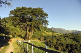 proprietà Cachoeiras de Macacu Vendita Brasile | Fazenda in Brasilien