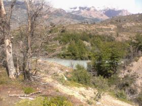 лес Рио Ибаньес Продажа Чили | Grundstück Chile/Patagonien zu verkaufen