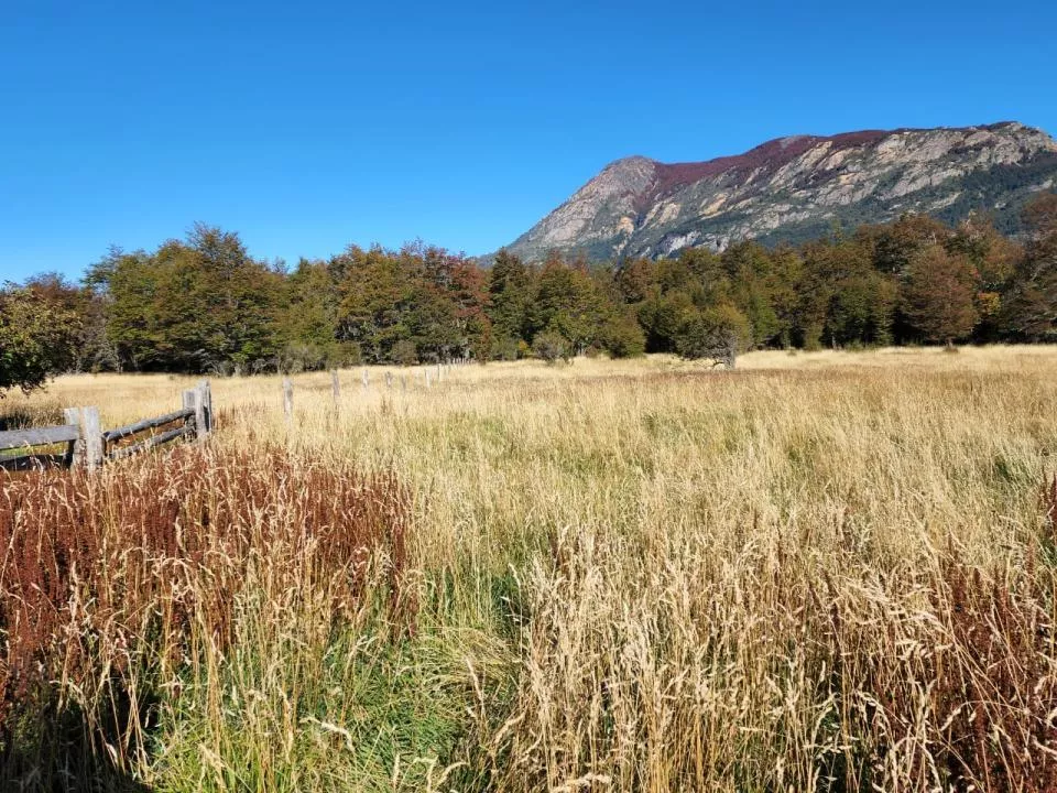 Propriedade da terra / florestal Río Ibáñez Venda Chile | Grundstück Patagonien zu Verkaufen