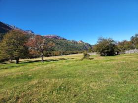 Grundstück Land-/Forstwirtschaft Río Ibáñez zu kaufen Chile | Grundstück Patagonien zu Verkaufen